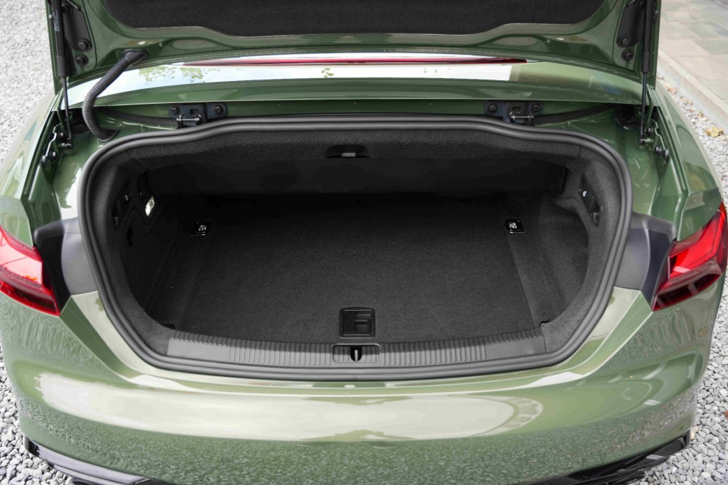 large_1755252664945281