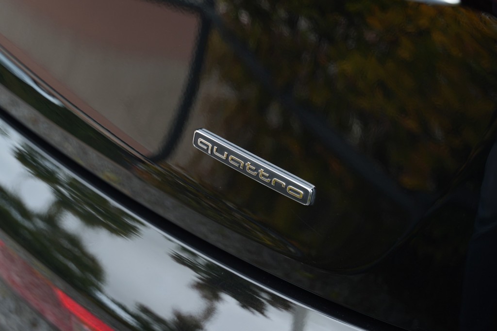 large_1758101521108695