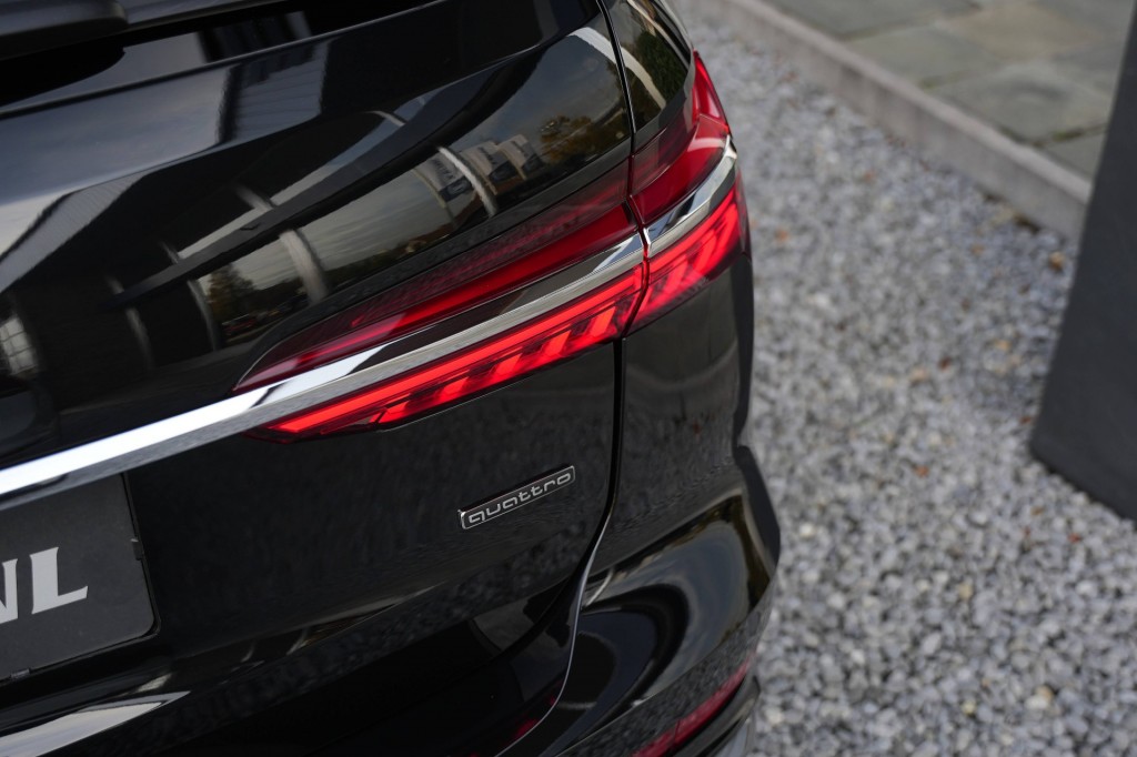 large_1759731906636526